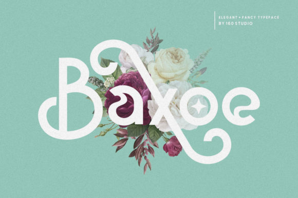Baxoe: The Elegant Sans Serif Font for Standout Campaigns