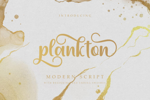 Plankton: The Elegant Script Handwritten Font for Modern Web Design